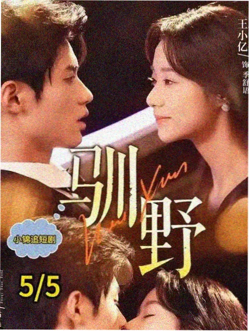 回声档案 剧集海报